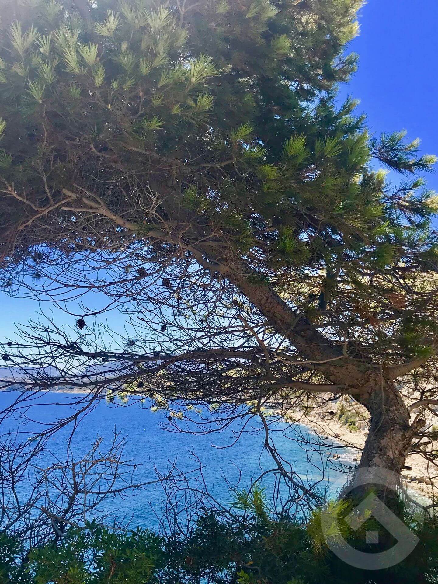 dineren met zeezicht in Moraira