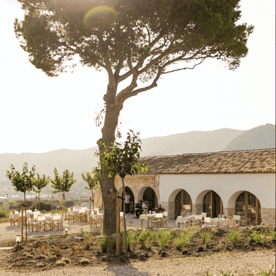 Bodega in en rondom Moraira