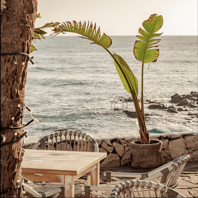 Top 5 terrassen in Moraira aan de Costa Blanca