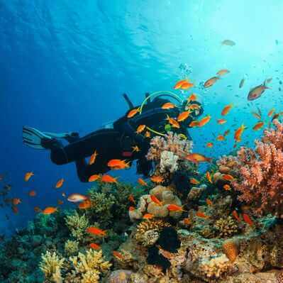 Duiken of snorkelen in de Herfstvakantie in Moraira